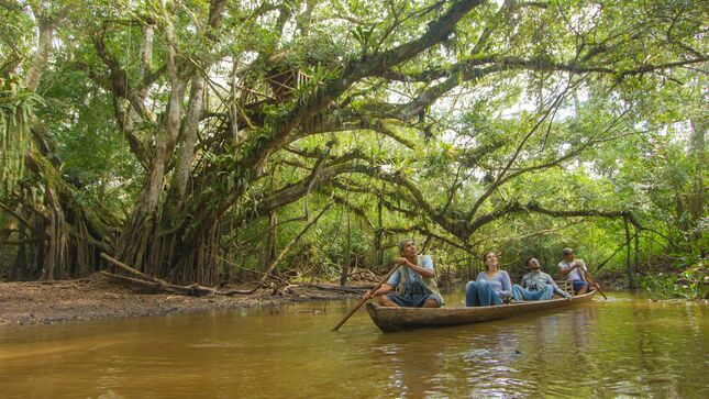 Reserva Ecológica de Tingana