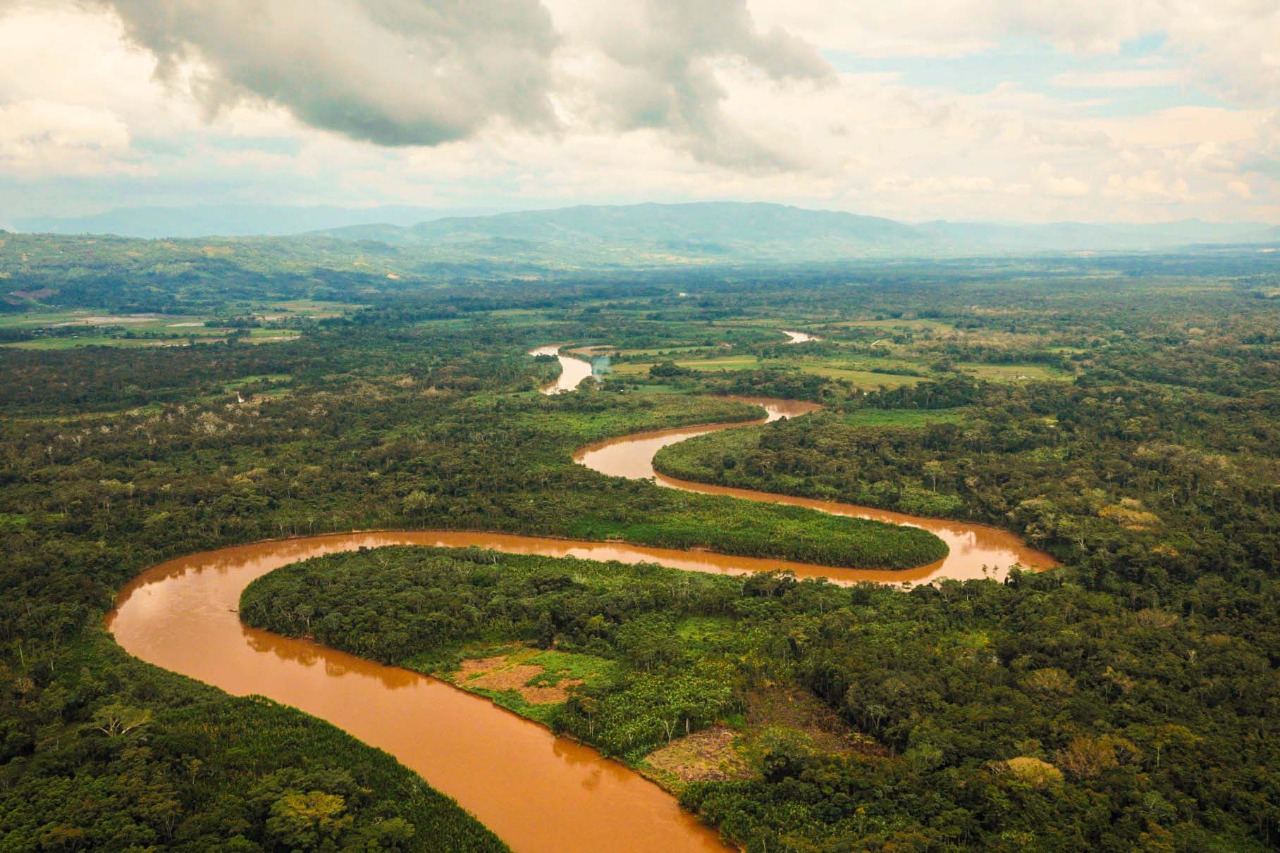 El 84% del territorio en la región San Martín está dedicado a áreas de conservación regional.