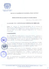 Vista preliminar de documento RESOLUCION-DE-ALCALDIA-N-195-2010-MDCA