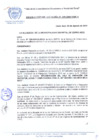Vista preliminar de documento RESOLUCION-DE-ALCALDIA-N-199-2010-MDCA