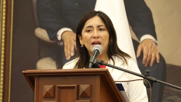 Ministra Portalatino destaca libros sobre covid-19 y viruela del simio como aporte a la investigación científica en salud