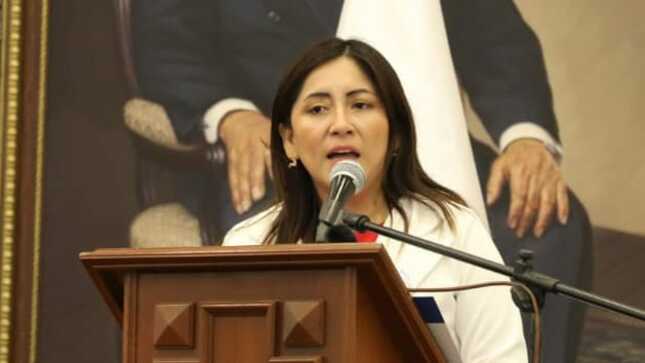 Ministra Portalatino destaca libros sobre covid-19 y viruela del simio como aporte a la investigación científica en salud