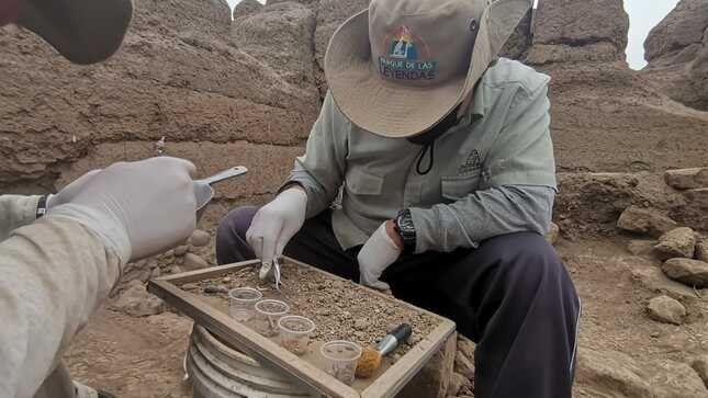 Huaca La Palma del Parque de las Leyendas