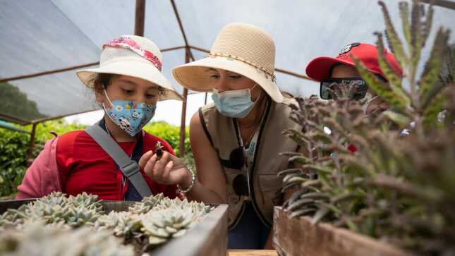 VEN Y DIVIERTE CON LAS DIVERSAS ACTIVIDADES
