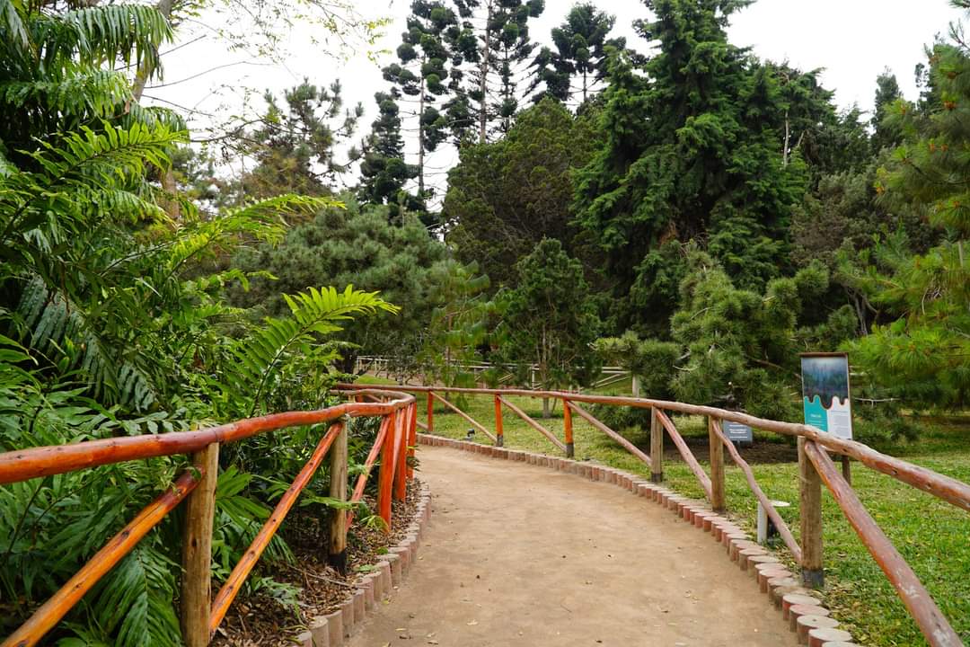 Semana De La Educación Ambiental En El Perú