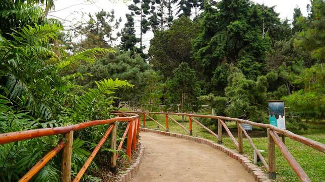 Semana De La Educación Ambiental En El Perú