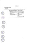 Vista preliminar de documento ANEXO 1