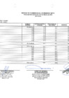 Vista preliminar de documento Estado de cambios en el patrimonio neto 1er Trimestre