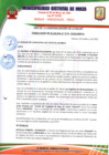 Vista preliminar de documento RESOLUCION ALCALDIA 079-2020-MDI-CH.pdf