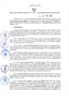 Vista preliminar de documento RES N°412-2022-GRDS