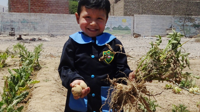 En Tacna complementan desayunos escolares