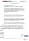 Vista preliminar de documento Resolución Directoral