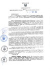 Vista preliminar de documento RER N° 635-2022