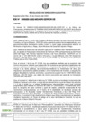 Vista preliminar de documento RDE-000250-2022-DE