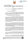 Vista preliminar de documento RGR N° 021 2022 GRLL GOB GGR.pdf
