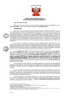 Vista preliminar de documento 397 006-0025977-2020