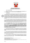 Vista preliminar de documento 399 006-0025976-2020