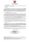 Vista preliminar de documento 430 3117000893-2020
