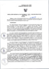 Vista preliminar de documento Resolución de Gerencia 222-2022