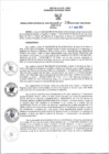 Vista preliminar de documento Resolución de Gerencia 234-2022