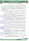 Vista preliminar de documento rgm 196.pdf