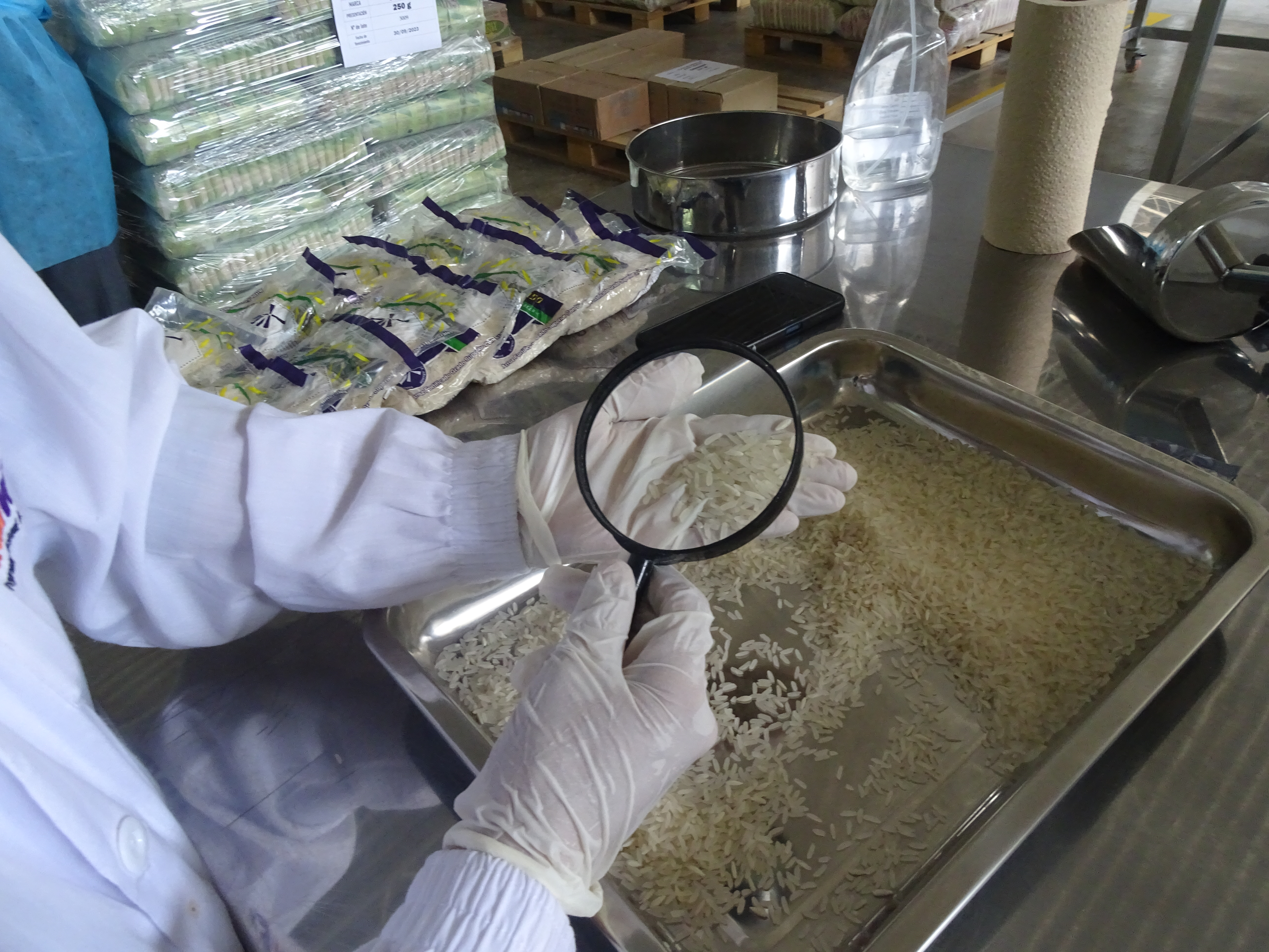 Quinta entrega de alimentos