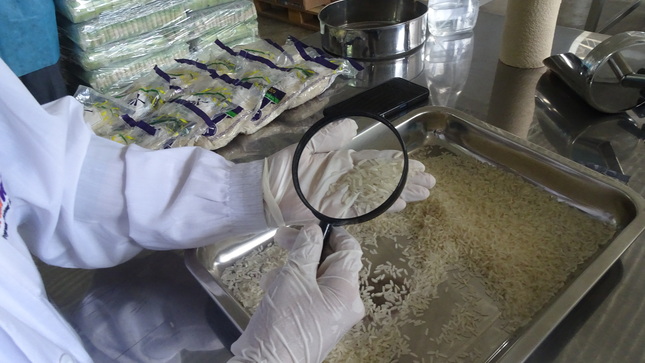 Quinta entrega de alimentos