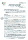 Vista preliminar de documento R.A-433-2022