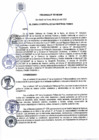 Vista preliminar de documento Ordenanza N° 537-MDSMP.pdf