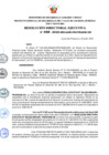 Vista preliminar de documento RDE Nº 088-2022-MIDAGRI-PROVRAEM-DE..pdf