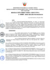 Vista preliminar de documento RDE Nº 089-2022-MIDAGRI-PROVRAEM-DE..pdf