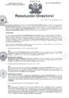Vista preliminar de documento RD N ° 310-2022.pdf