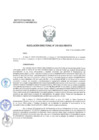 Vista preliminar de documento Resolución Directoral N° 216-2022-INEI/OTA