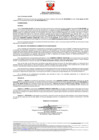 Vista preliminar de documento 461 006-0024586-2018