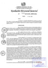 Vista preliminar de documento Directiva de Organo N° 002-2019-GRL-GRDE-DRA-OPP