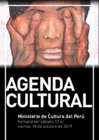 Vista preliminar de documento Agenda Regiones
