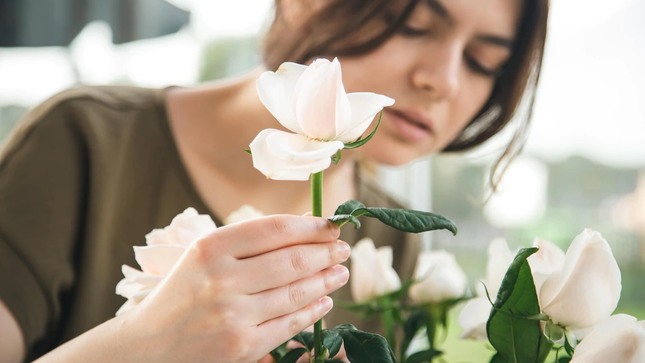 Inacal aprueba requisitos de calidad de las rosas de corte para mejorar su comercialización 