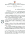 Vista preliminar de documento RDE Nº 102-2022-MIDAGRI-PROVRAEM-DE..pdf