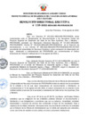 Vista preliminar de documento RDE Nº 110-2022-MIDAGRI-PROVRAEM-DE..pdf