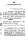 Vista preliminar de documento RDE Nº 111-2022-MIDAGRI-PROVRAEM-DE..pdf