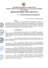 Vista preliminar de documento RDE Nº 113-2022-MIDAGRI-PROVRAEM-DE..pdf