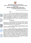 Vista preliminar de documento RDE Nº 119-2022-MIDAGRI-PROVRAEM-DE..pdf