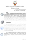 Vista preliminar de documento RDE Nº 131-2022-MIDAGRI-PROVRAEM-DE..pdf