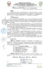 Vista preliminar de documento resolucion-alcaldiaN457.pdf