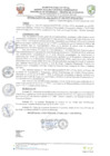 Vista preliminar de documento resolucion-alcaldiaN462.pdf