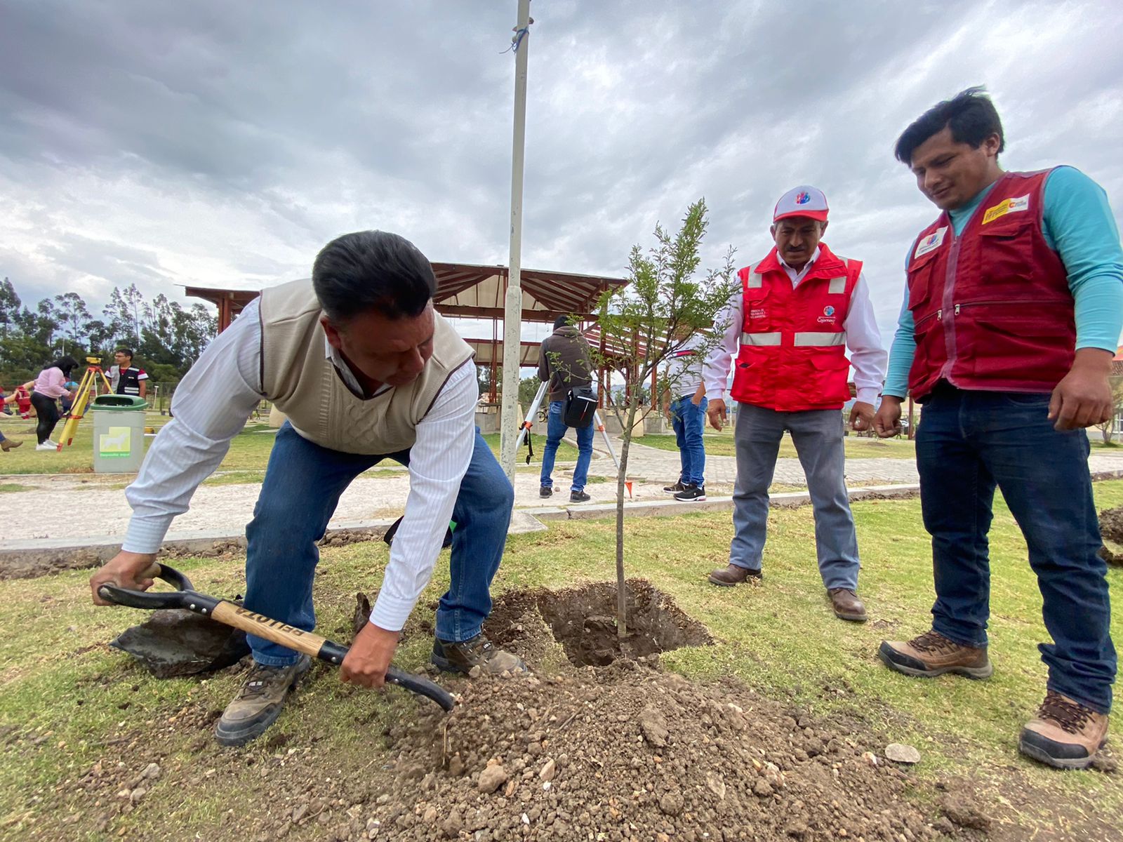 Más de 250 plantaciones de árboles de diferentes especies nativas de la región, son instaladas en el parque de la explanada del complejo Qha
