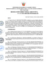 Vista preliminar de documento RDE Nº 141-2022-MIDAGRI-PROVRAEM-DE..pdf