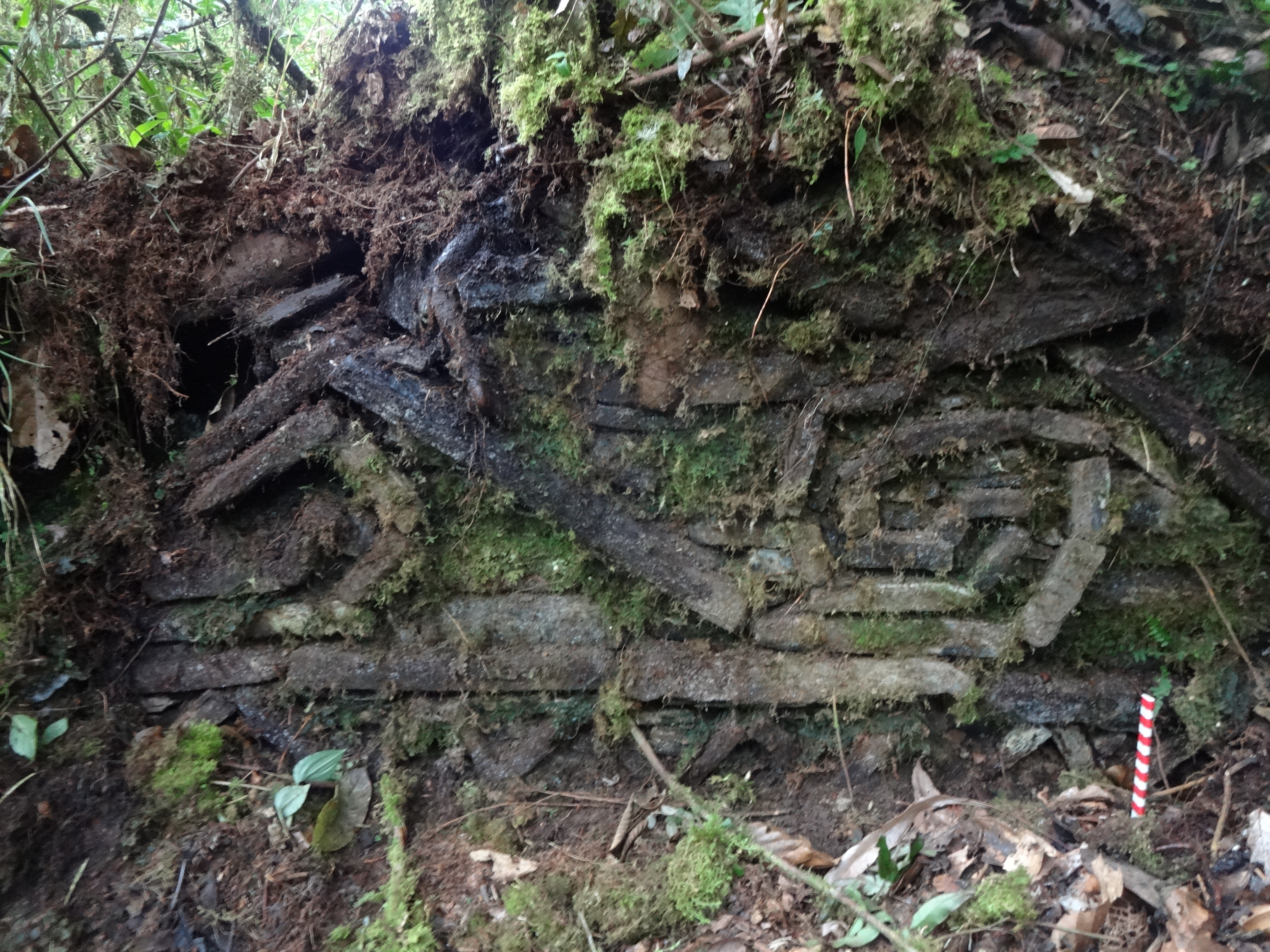  Ministerio de Cultura cumplió con el saneamiento físico legal de la Zona Arqueológica Monumental Cerro Central 