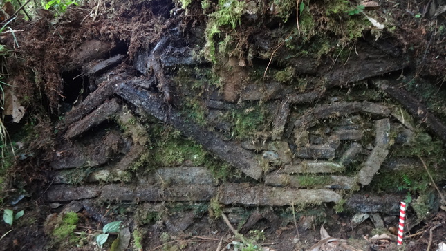   Ministerio de Cultura cumplió con el saneamiento físico legal de la Zona Arqueológica Monumental Cerro Central 