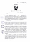 Vista preliminar de documento RD_980_2022_CENARES.pdf